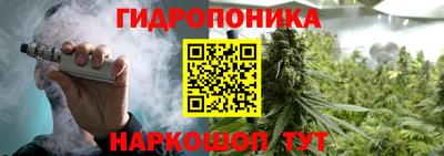 a pvp Кимры