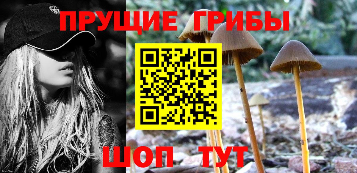 Галлюциногенные грибы прущие грибы Ирбит