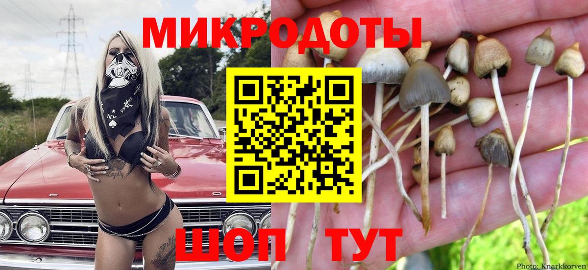 Псилоцибиновые грибы мухоморы  Вход с VPN  Галлюциногенные грибы GOLDEN TEACHER  Ирбит 